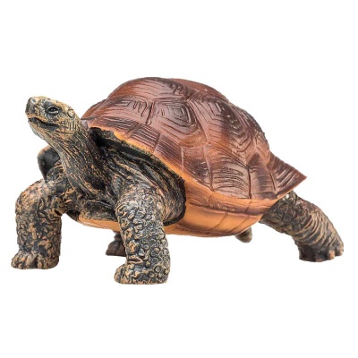 Фигурка Гигантская черепаха Konik AMW2111 1